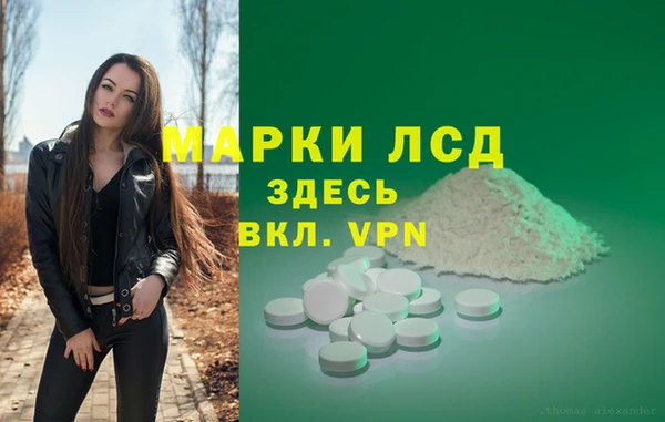 прущие грибы Волоколамск