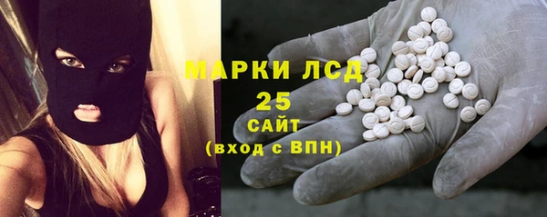 прущие грибы Волоколамск
