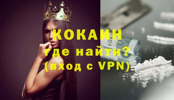 шишки Волосово