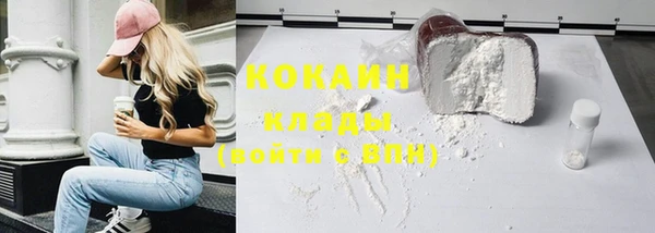 прущие грибы Волоколамск