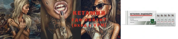 прущие грибы Волоколамск
