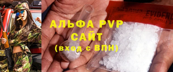 индика Вязьма