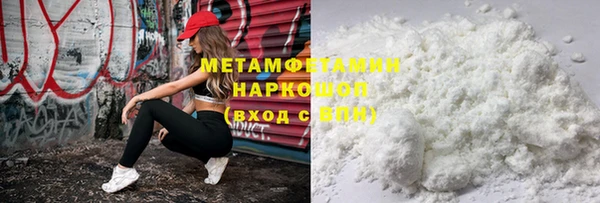 прущие грибы Волоколамск