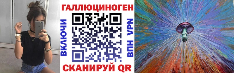 купить закладку Новомосковск Галлюциногенные грибы Psilocybine cubensis