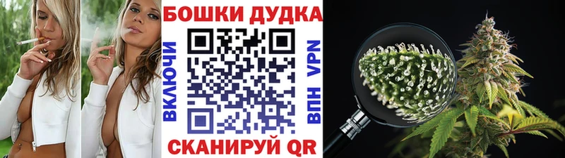 Бошки Шишки марихуана где купить Новомосковск